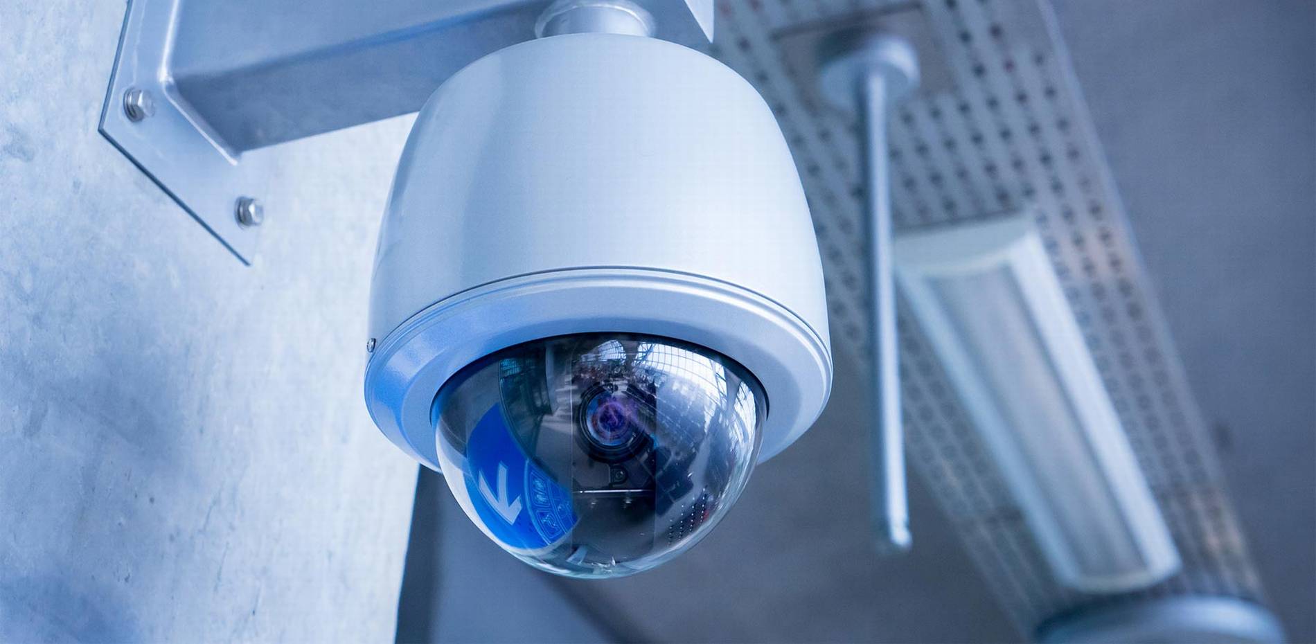 #1 Best Security Camera Company: CAT6 CAT7 CAT8 Network vs Wiring Installer Low Voltage Fiber Optic Sarasota